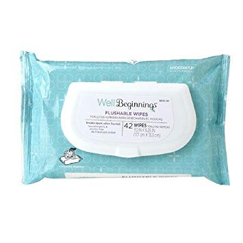 Well Beginnings Flushable Wipes 42 ea (Pack of 3)