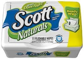 Scott Naturals with Aloe Vera Flushable Moist Wipes (2 Pack)
