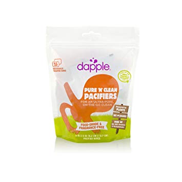 Dapple Pacifier Wipes Food Grade, Fragrance Free, 25 Count