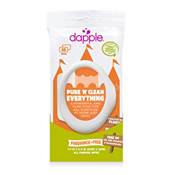 DAPPLE All Purpose Travel Size Wipes, Fragrance Free Wipes, Baby Wipes, Cleaning Wipes, Baby...